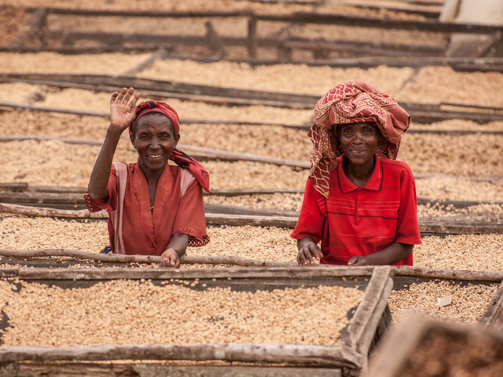 Farmers at Rwanda's Abakundakawa Women's Cooperative